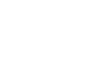 handyman 1
