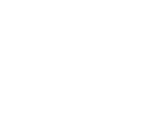 handyman 2