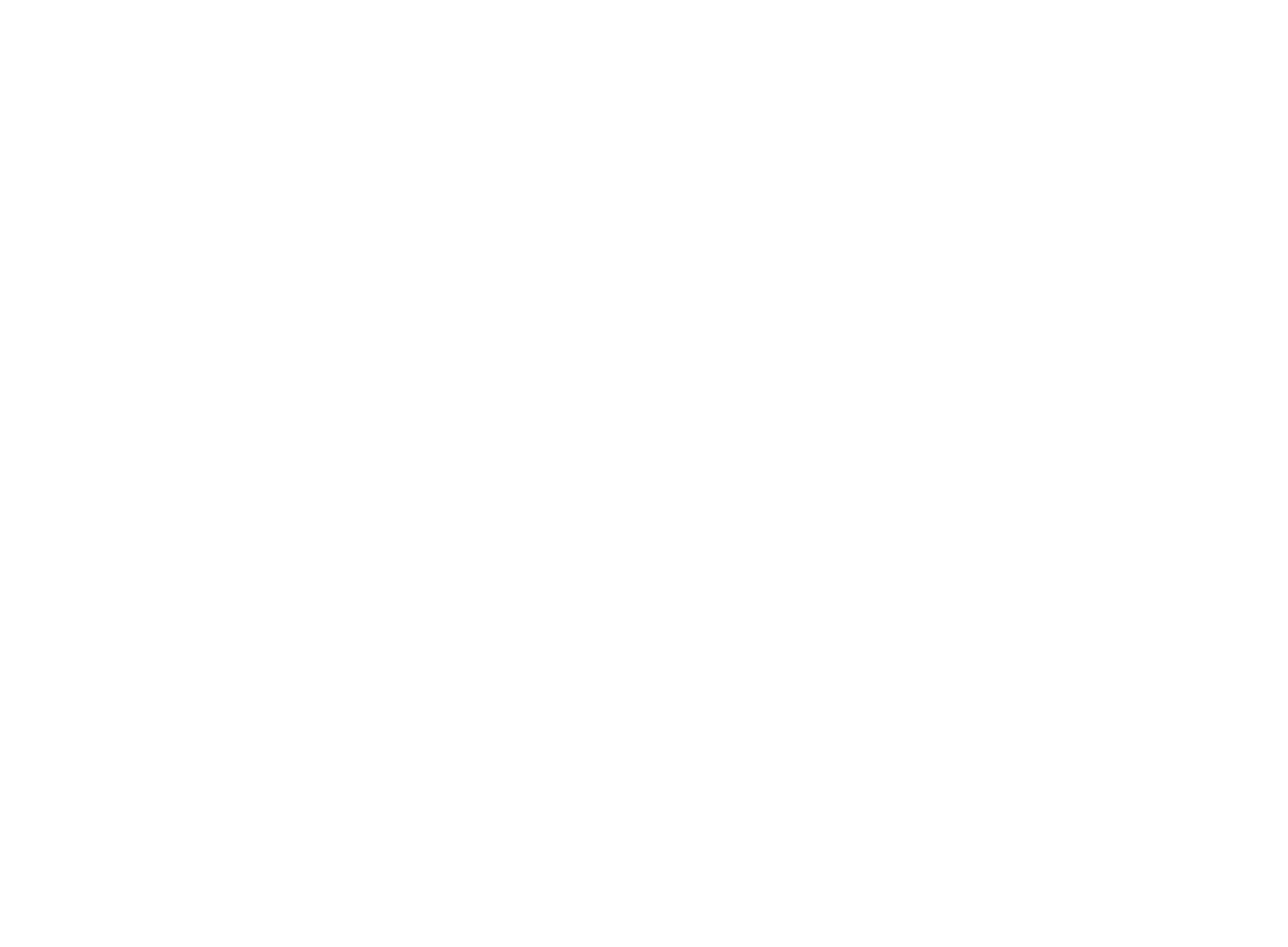 white logo handymen